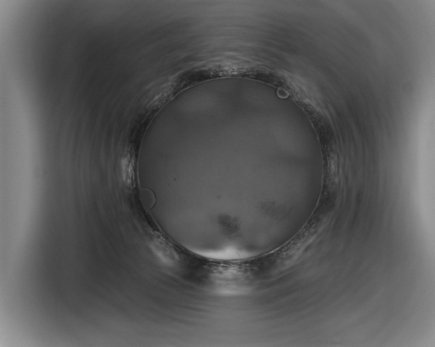 X0000116490177200912161326