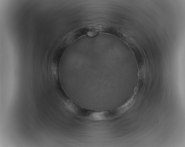 X0000116490178200912161326