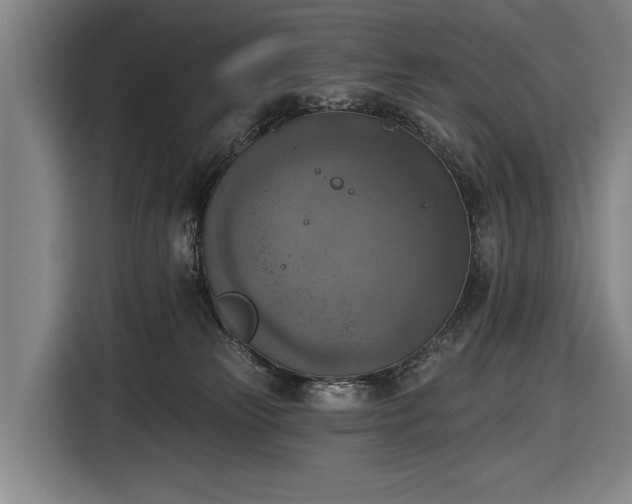 X0000116490181200912161326