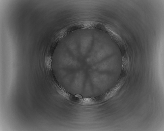 X0000116490189200912161326