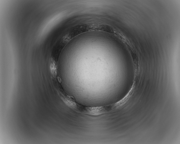 X0000116490191200912161326