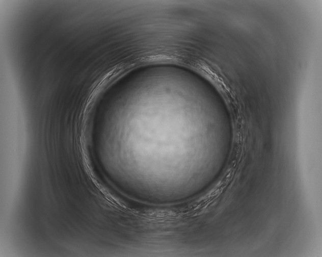 X0000116490193200912161325