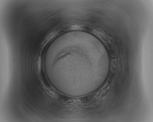 X0000116490194200912161325