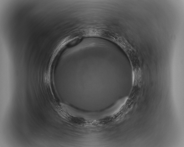 X0000116490195200912161325