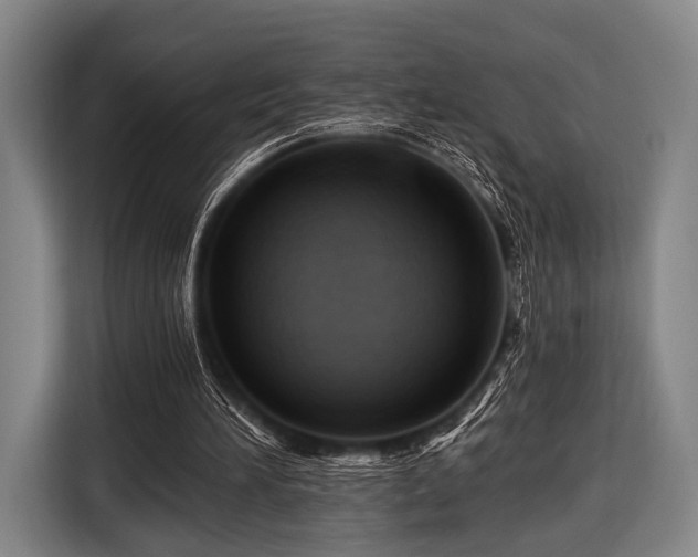 X0000116490196200912161325