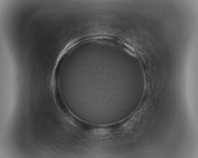 X0000116490198200912161325