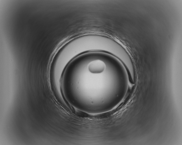 X0000116490199200912161325