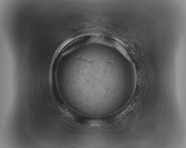 X0000116490200200912161325