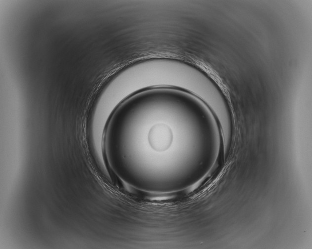 X0000116490201200912161325