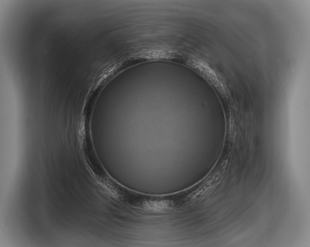 X0000116490202200912161325