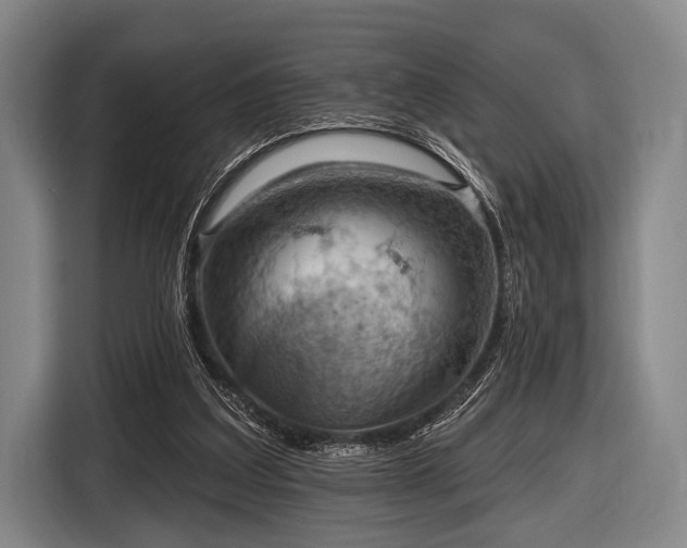 X0000116490203200912161325