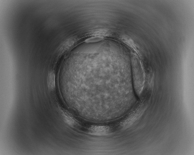 X0000116490205200912161325