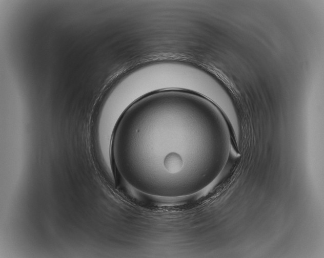 X0000116490207200912161325