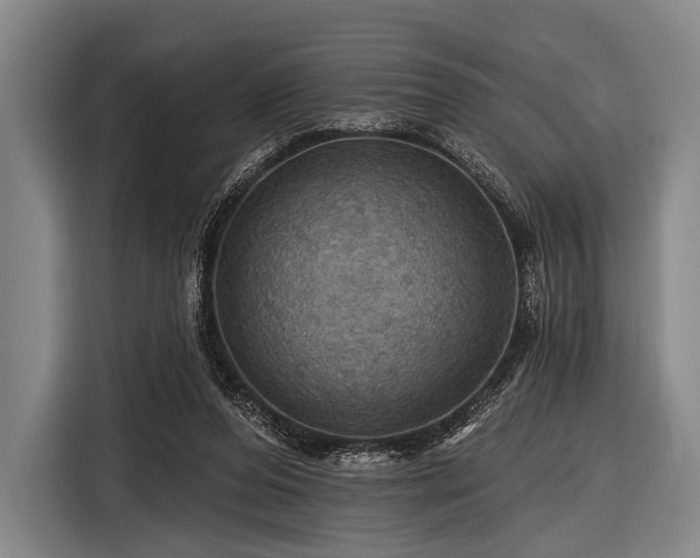 X0000116490208200912161325