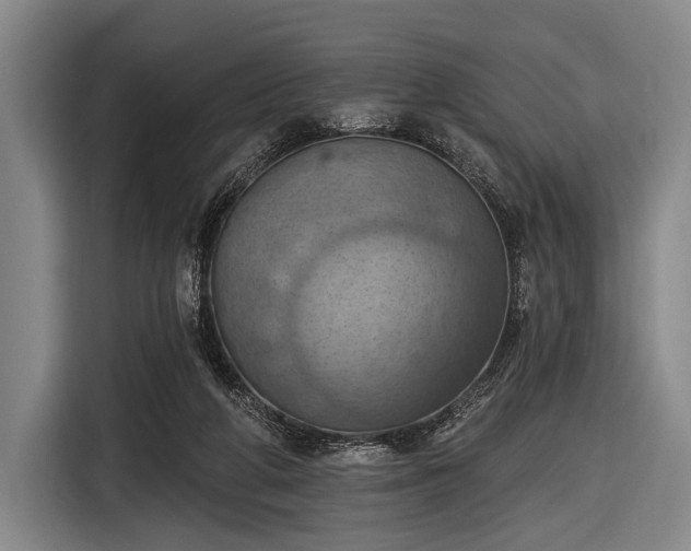 X0000116490210200912161325