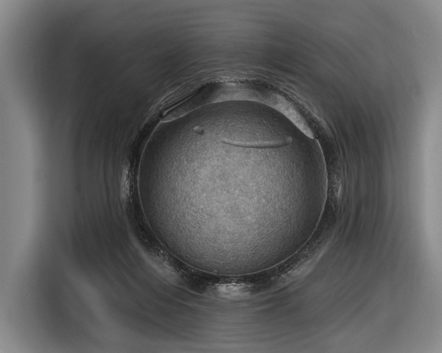 X0000116490216200912161325