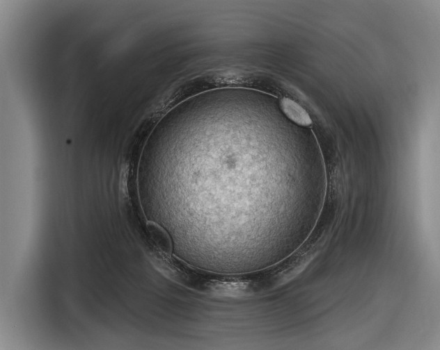 X0000116490217200912161325