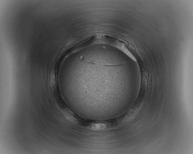 X0000116490220200912161325