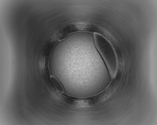 X0000116490221200912161325