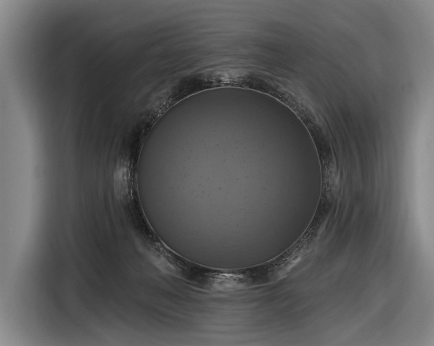 X0000116490222200912161325