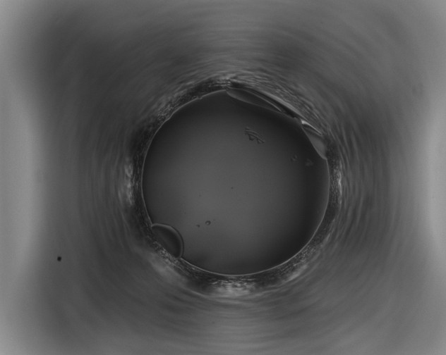 X0000116490223200912161325