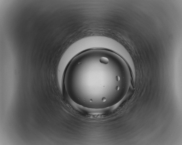 X0000116490225200912161325