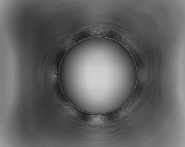 X0000116490226200912161325