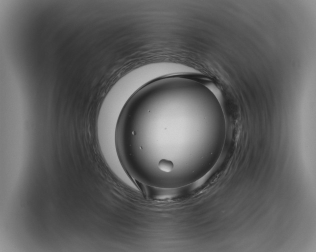 X0000116490229200912161325