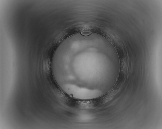 X0000116490230200912161325