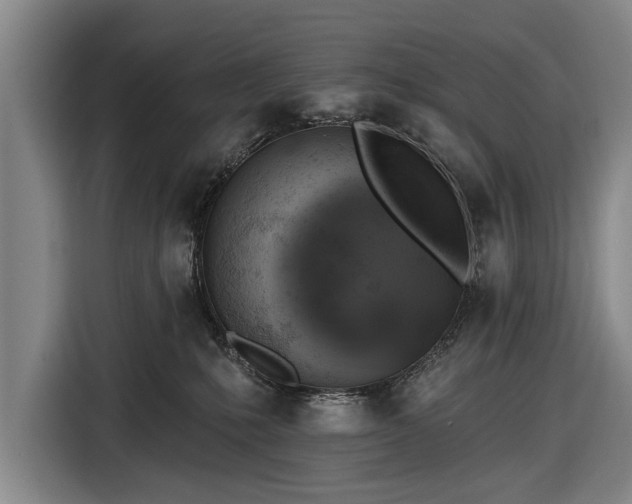 X0000116490231200912161325