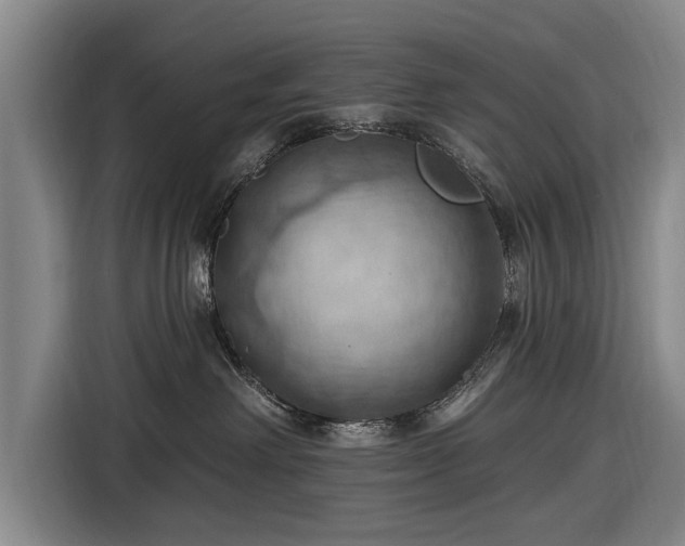 X0000116490238200912161325