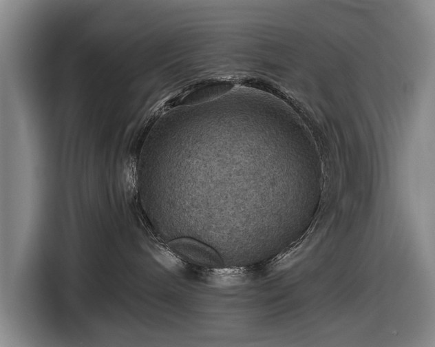 X0000116490240200912161325