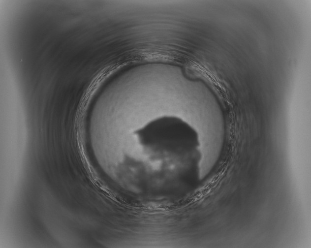 X0000116490241200912161324