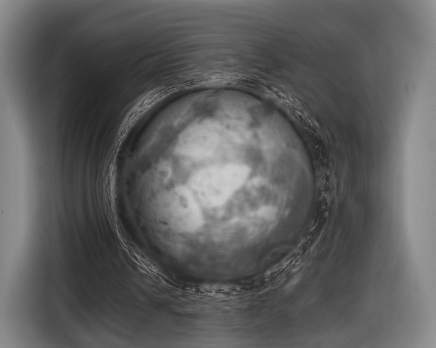 X0000116490242200912161324