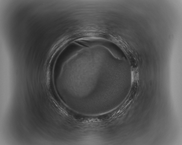 X0000116490243200912161324