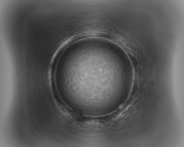 X0000116490244200912161324