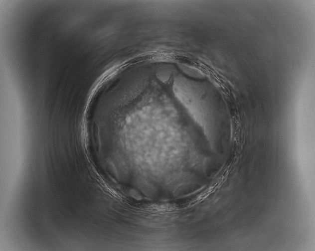 X0000116490245200912161324