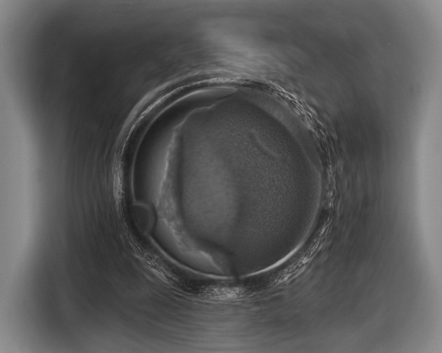 X0000116490247200912161324