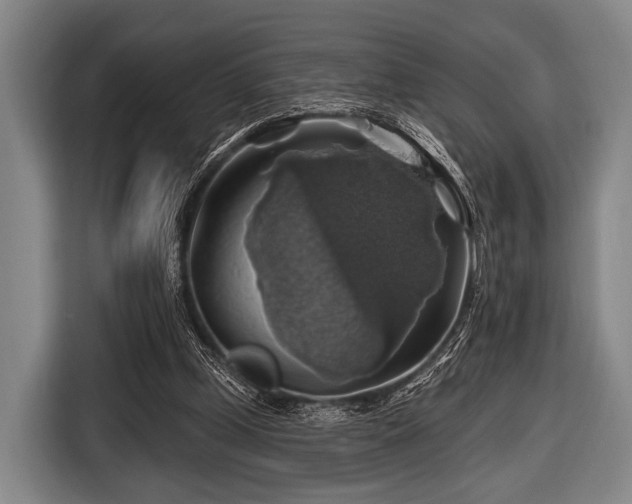 X0000116490249200912161324