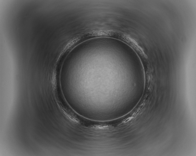 X0000116490250200912161324