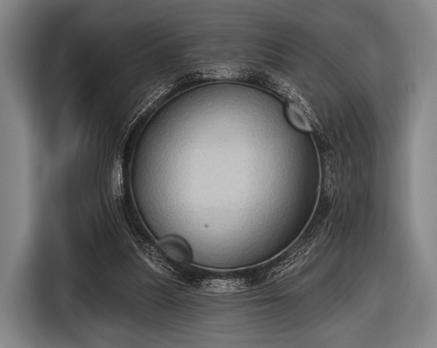 X0000116490251200912161324