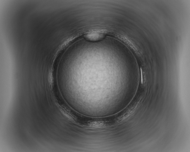 X0000116490252200912161324