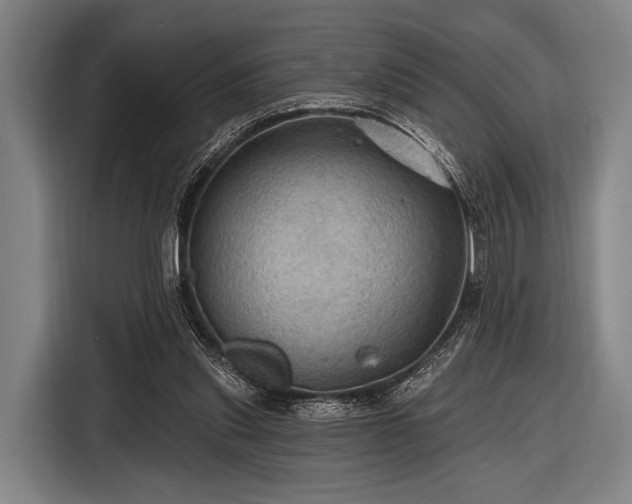 X0000116490253200912161324