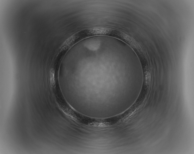 X0000116490254200912161324