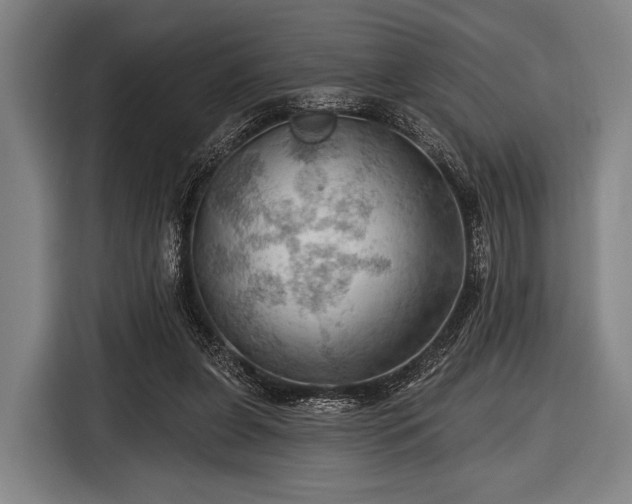 X0000116490255200912161324