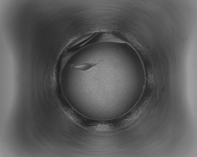 X0000116490256200912161324