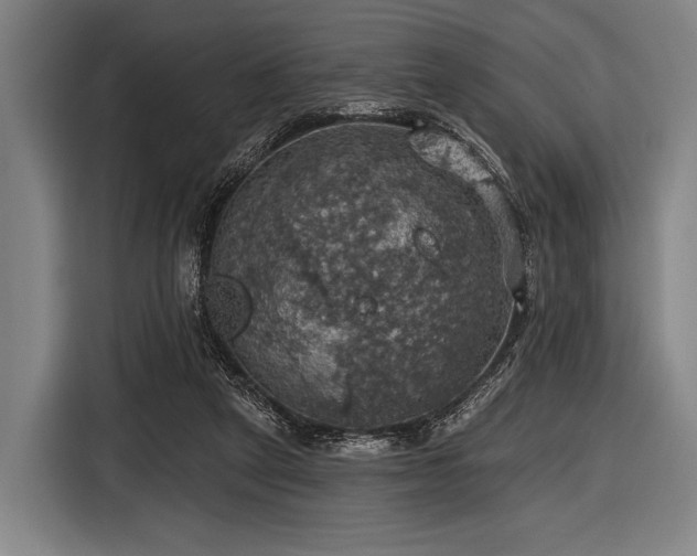 X0000116490257200912161324