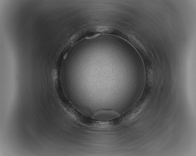 X0000116490260200912161324