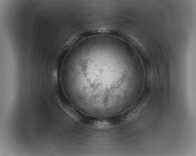 X0000116490262200912161324