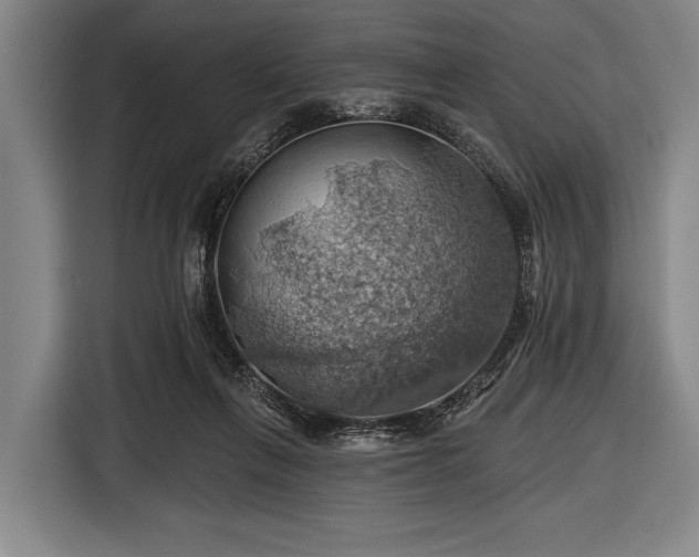 X0000116490263200912161324